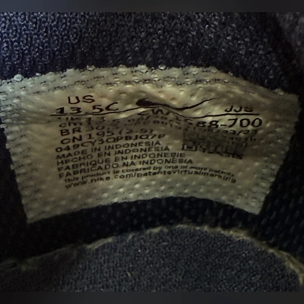 Nike Dunk Low (TDE) "Michigan" Size 13.5C CW1588-700 LNC - Picture 7 of 7